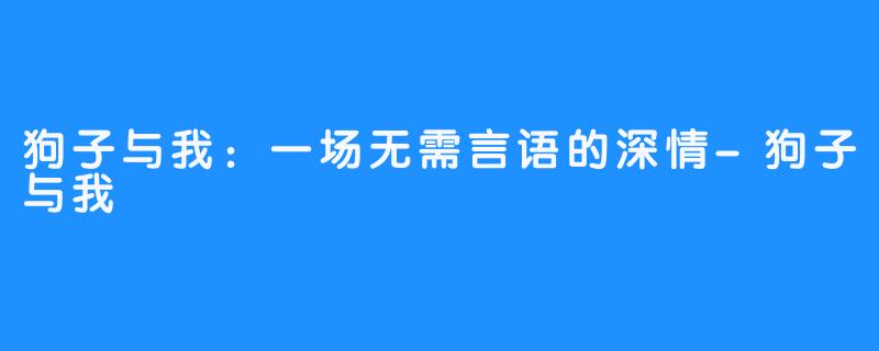 狗子与我：一场无需言语的深情-狗子与我