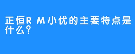 正恒RM小优的主要特点是什么？