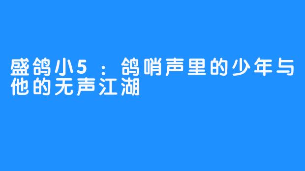 盛鸽小5：鸽哨声里的少年与他的无声江湖
