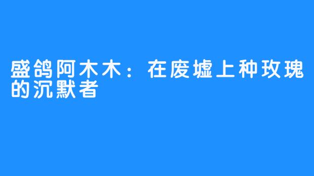 盛鸽阿木木:在废墟上种玫瑰的沉默者