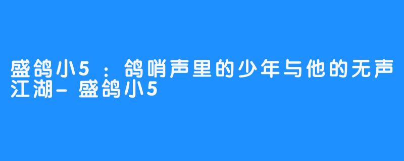 盛鸽小5：鸽哨声里的少年与他的无声江湖-盛鸽小5